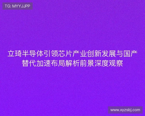 立琦半导体引领芯片产业创新发展与国产替代加速布局解析前景深度观察